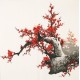 Plum - CNAG005532