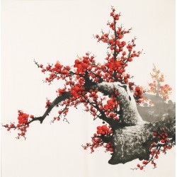 Plum - CNAG005532