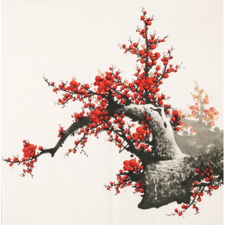Plum - CNAG005532
