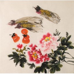 Peony - CNAG005538