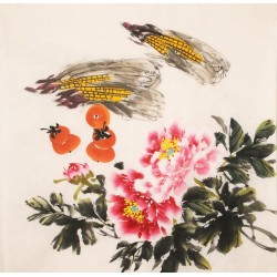 Peony - CNAG005540