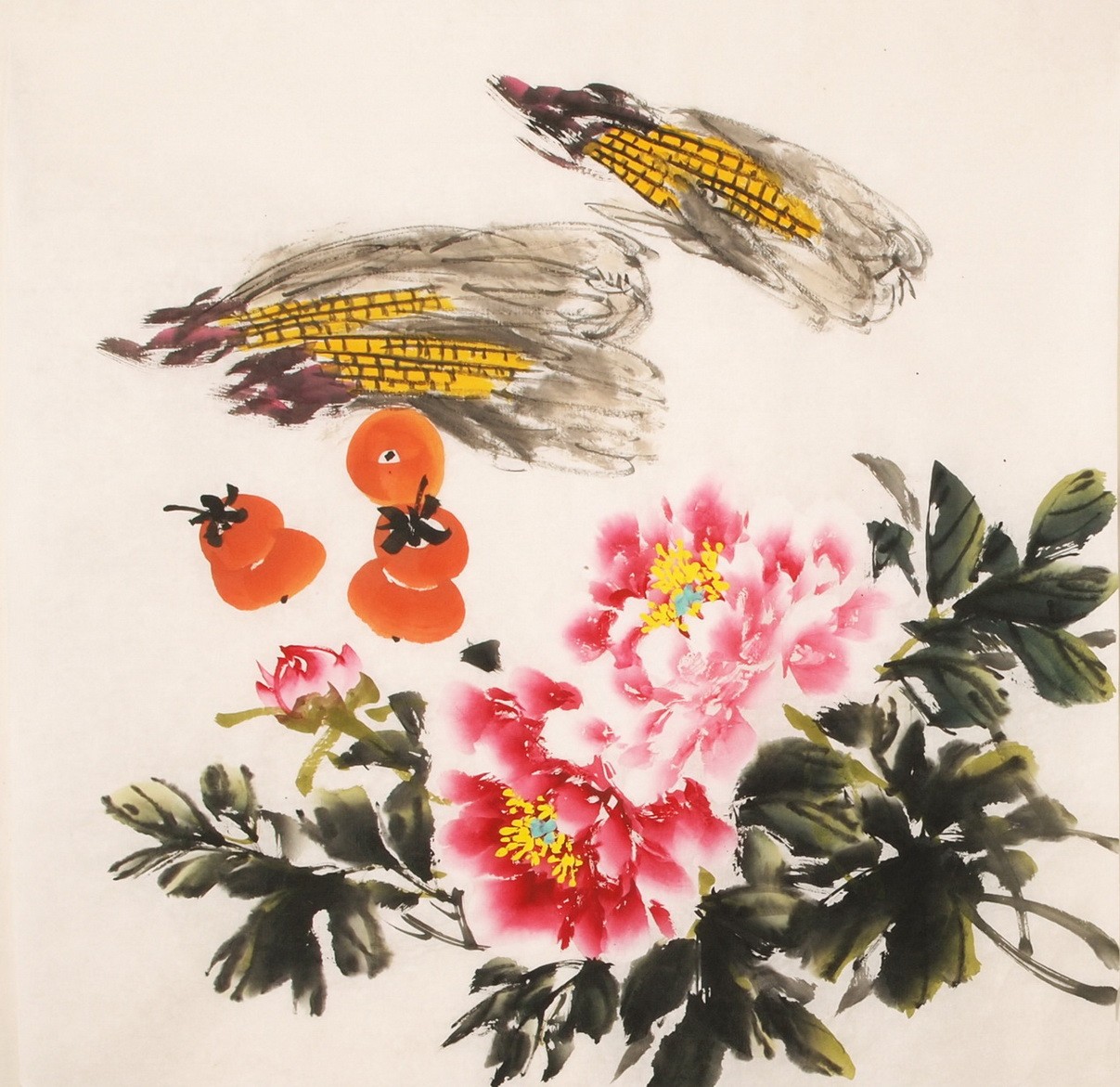 Peony - CNAG005540