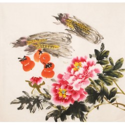 Peony - CNAG005541