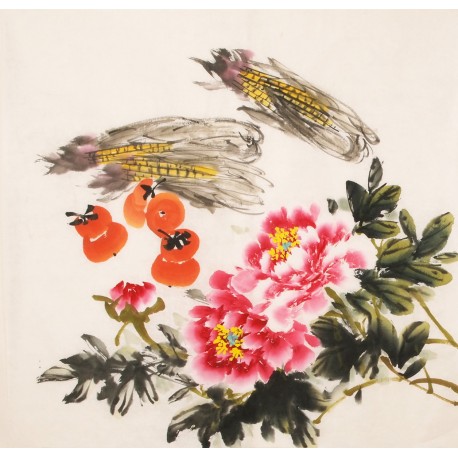 Peony - CNAG005541