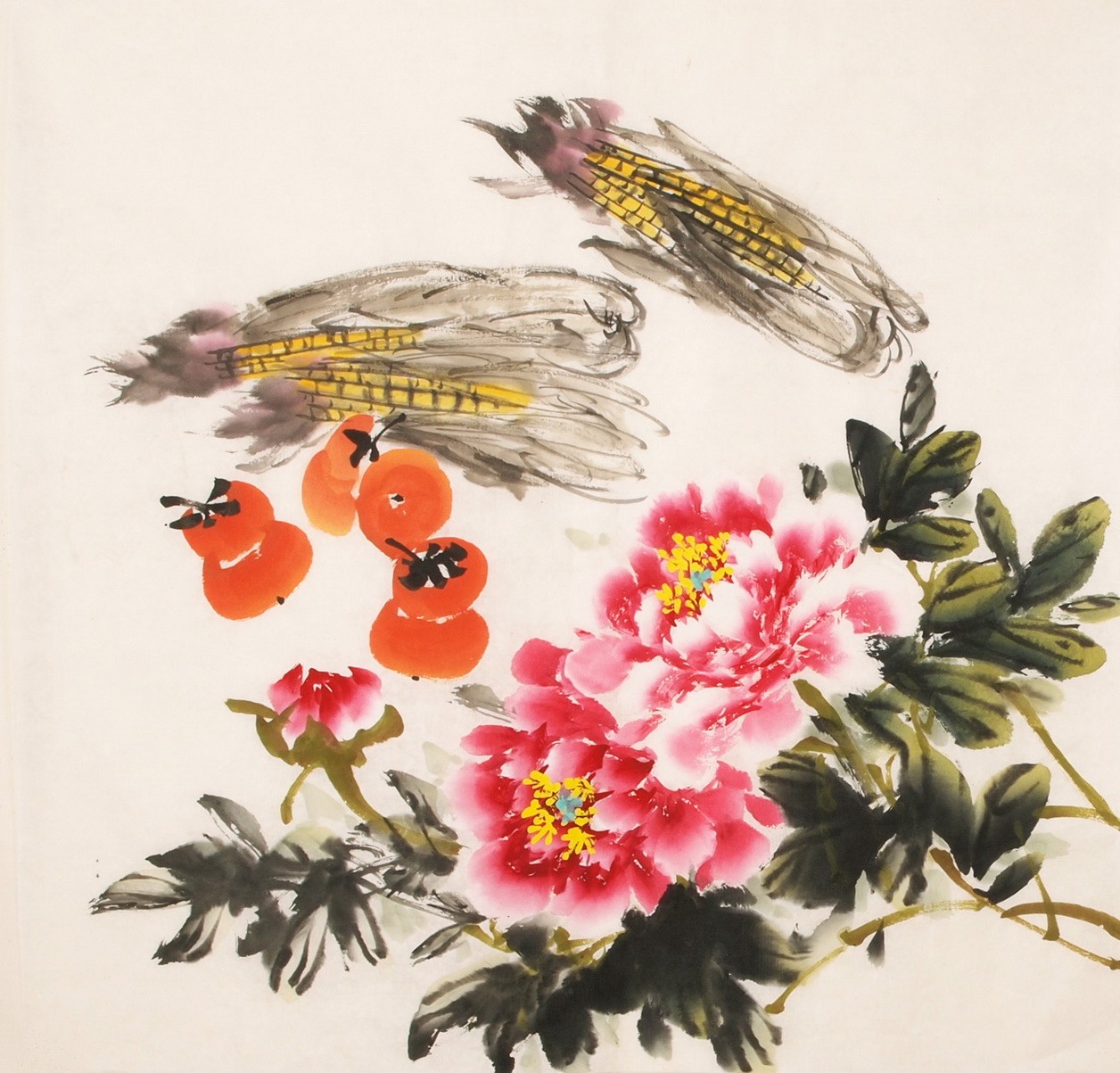 Peony - CNAG005541