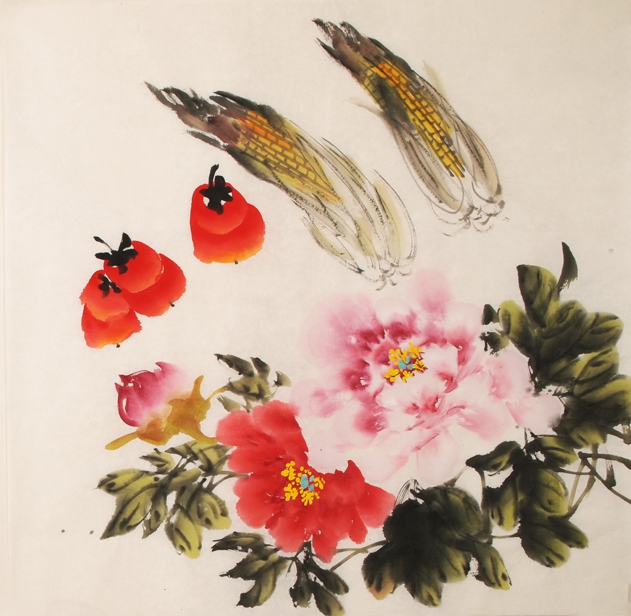 Peony - CNAG005542