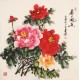 Peony - CNAG005544