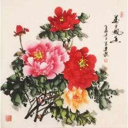 Peony - CNAG005544