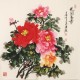 Peony - CNAG005546