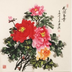Peony - CNAG005546