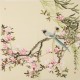 Peach Blossom - CNAG005547