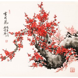 Plum - CNAG005549
