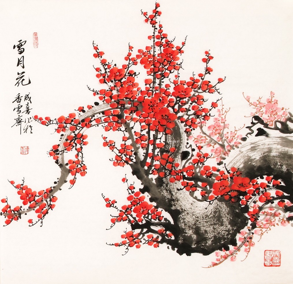 Plum - CNAG005549