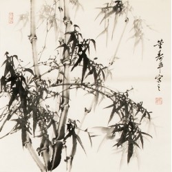 Ink Bamboo - CNAG005558