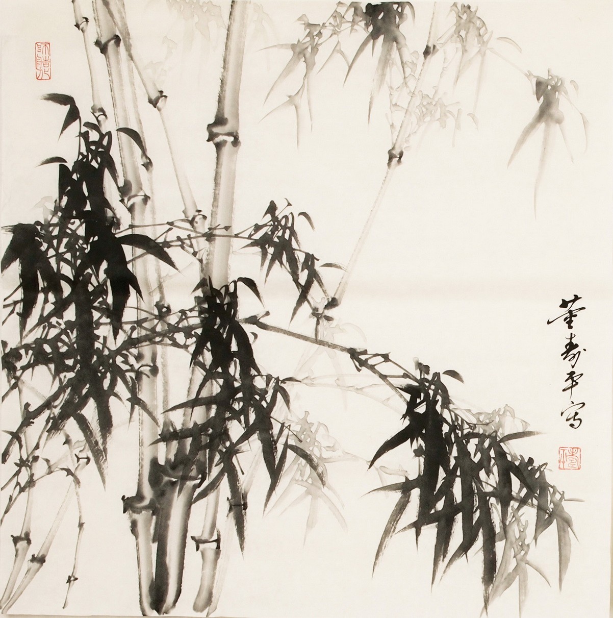 Ink Bamboo - CNAG005568