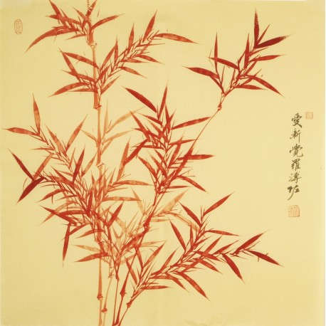 Bamboo - CNAG005573
