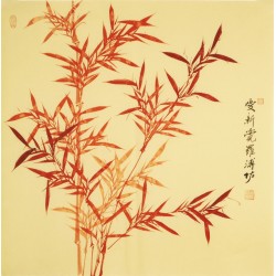 Bamboo - CNAG005574