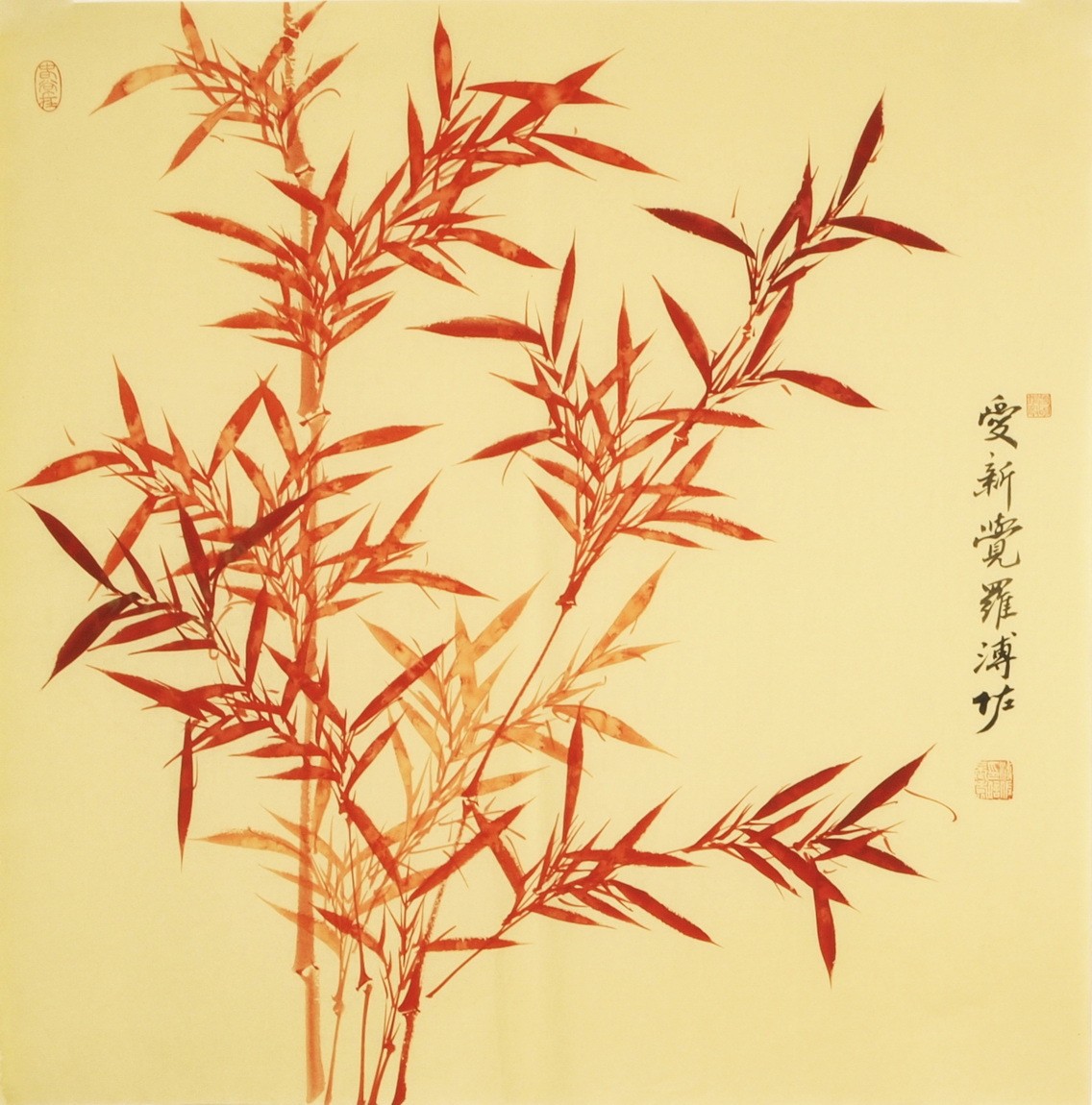 Bamboo - CNAG005574