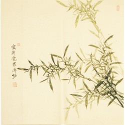 Green Bamboo - CNAG005575