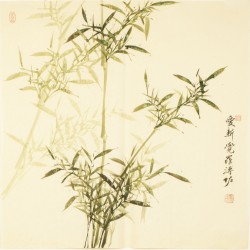 Green Bamboo - CNAG005576