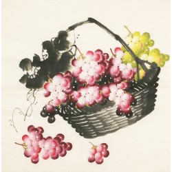 Grapes - CNAG005577