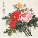 Peony - CNAG005578
