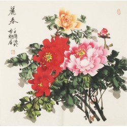 Peony - CNAG005578