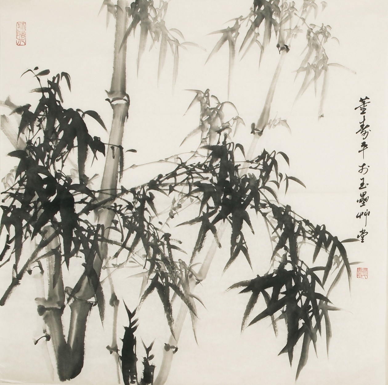 Ink Bamboo - CNAG005579
