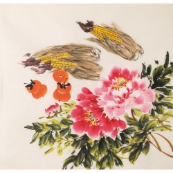 Peony - CNAG005581