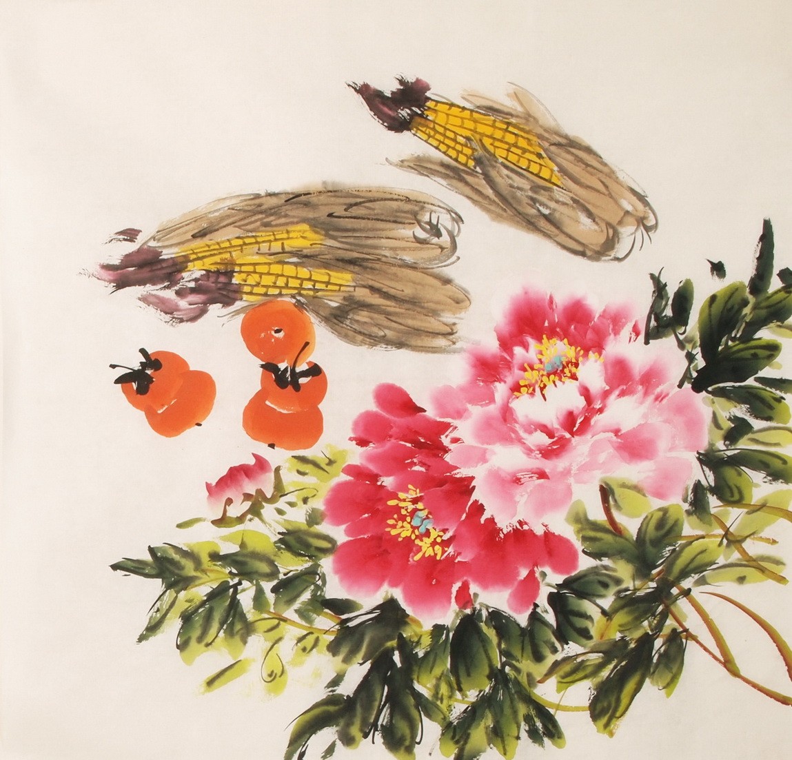 Peony - CNAG005581