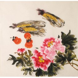 Peony - CNAG005584