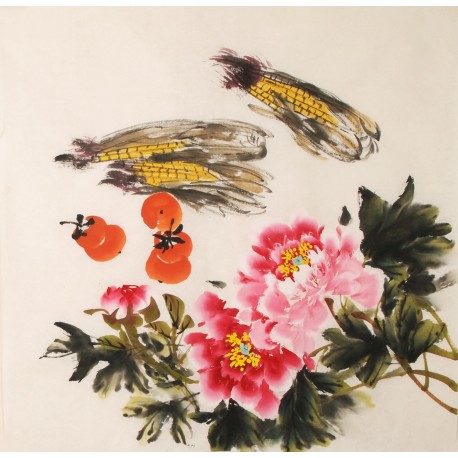 Peony - CNAG005584