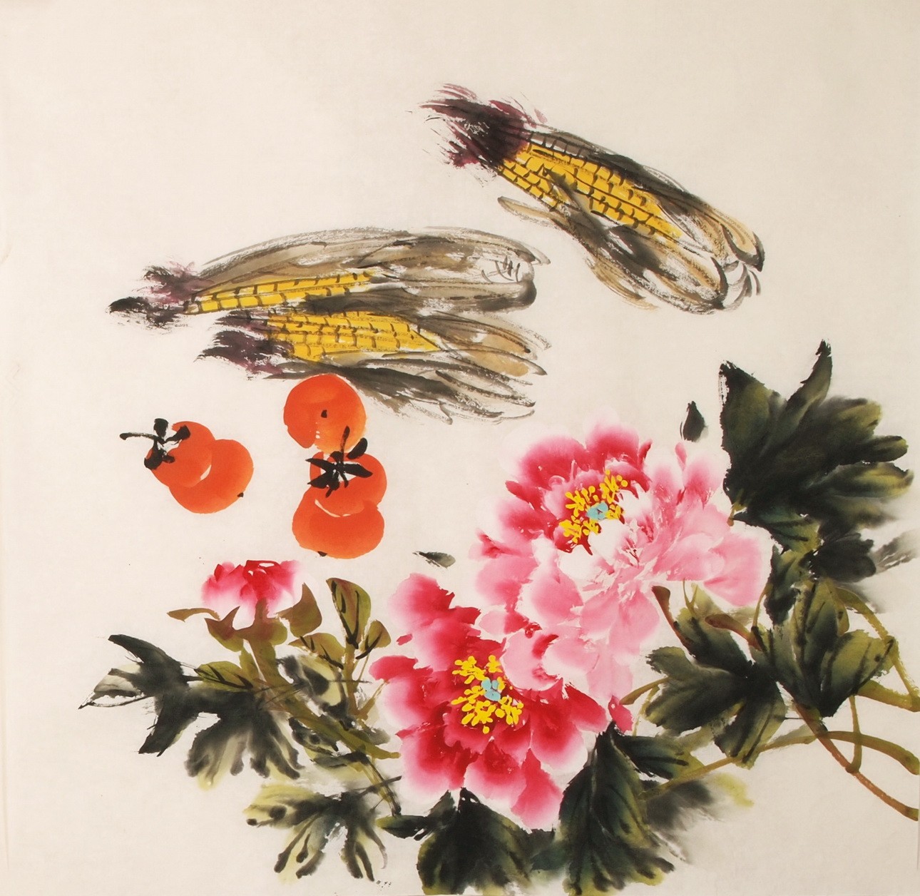 Peony - CNAG005584