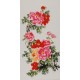 Peony - CNAG000560