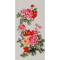 Peony - CNAG000560