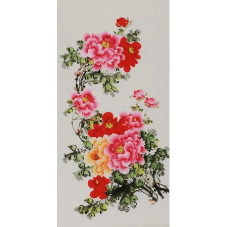 Peony - CNAG000560