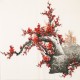 Plum - CNAG005597