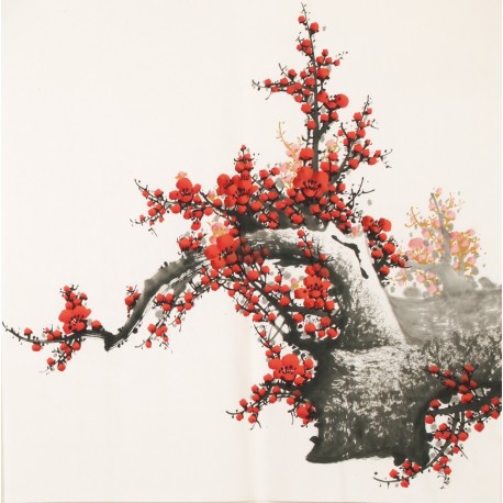 Plum - CNAG005597