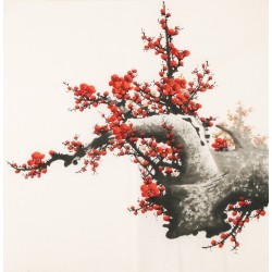 Plum - CNAG005598