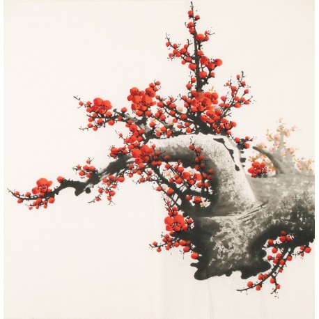 Plum - CNAG005598