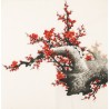 Plum - CNAG005598