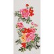 Peony - CNAG000561