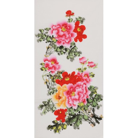 Peony - CNAG000561