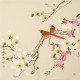 Paradise Flycatcher - CNAG005611