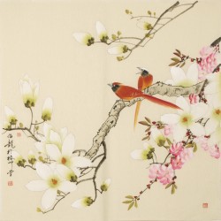 Paradise Flycatcher - CNAG005611