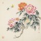 Other Birds - CNAG005614