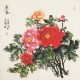 Peony - CNAG005615