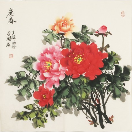 Peony - CNAG005615