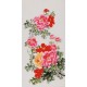 Peony - CNAG000562