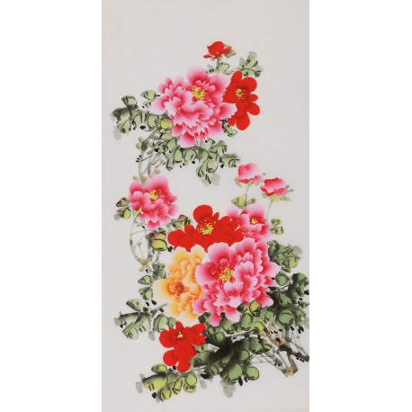 Peony - CNAG000562